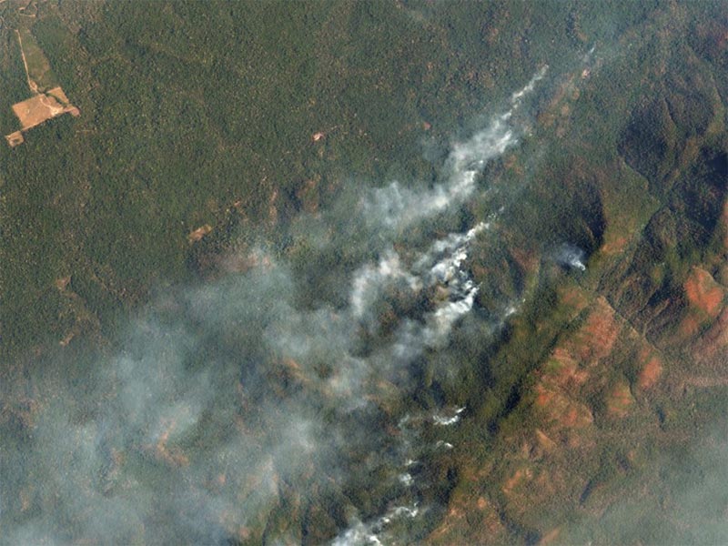 Incêndio Florestal em Roraima